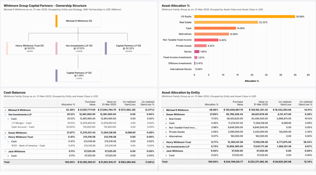 Image of a consolidated entity and partnership reporting dashboard showing detailed asset allocations, ownership structures, partnership look-through, and balance sheet data, highlighting net-worth insights